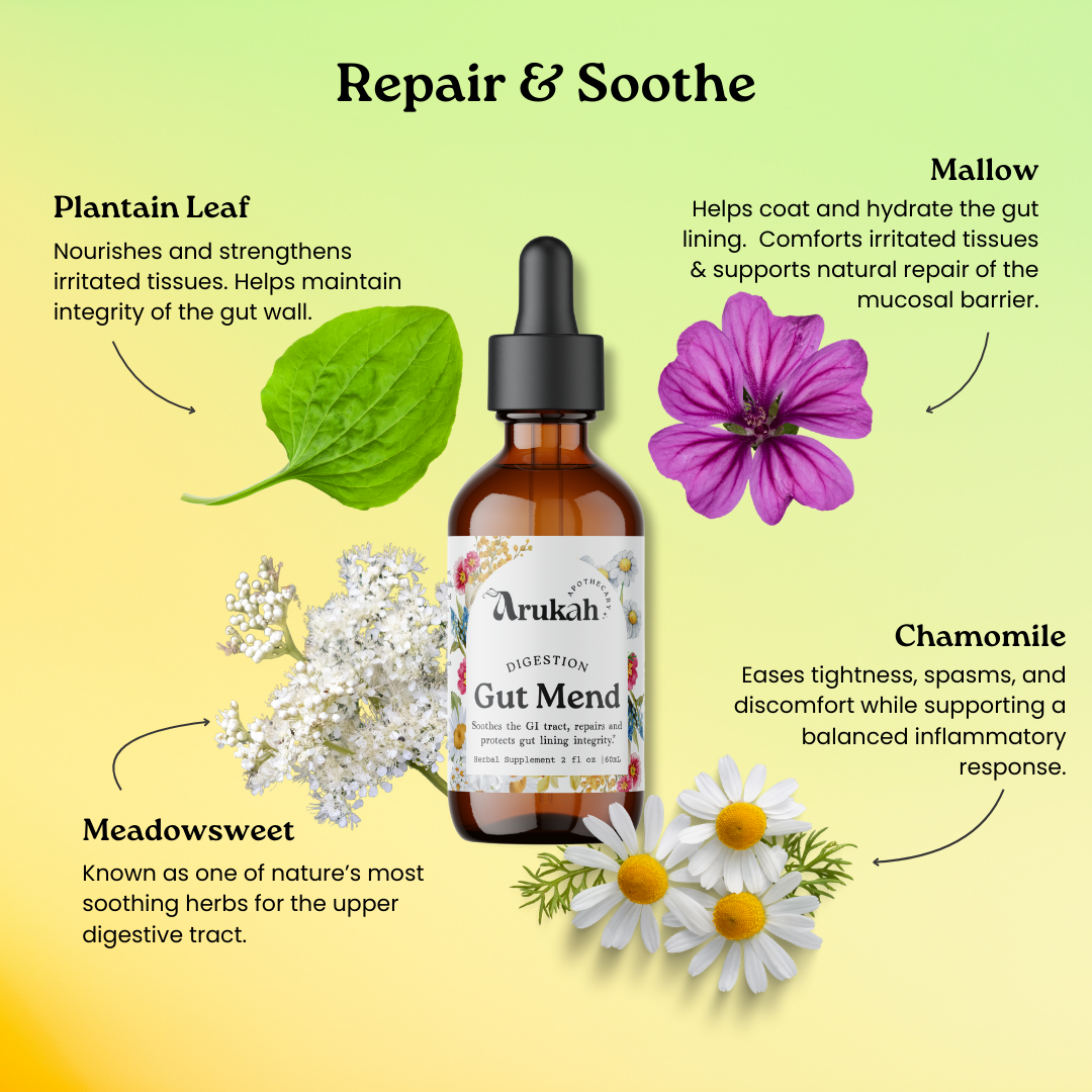 Gut Mend