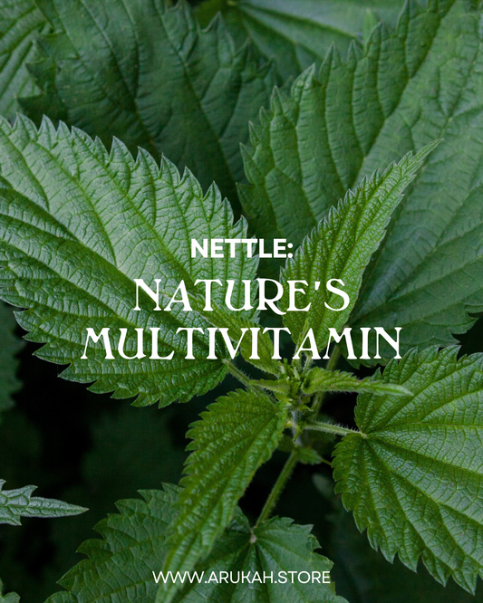 Nature’s Multivitamin: Stinging Nettle