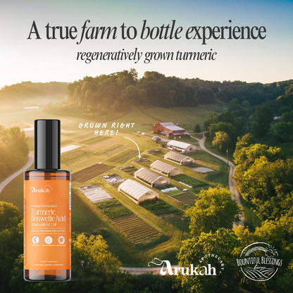 Turmeric + Boswellic Acid Anti-Inflammatory Aid